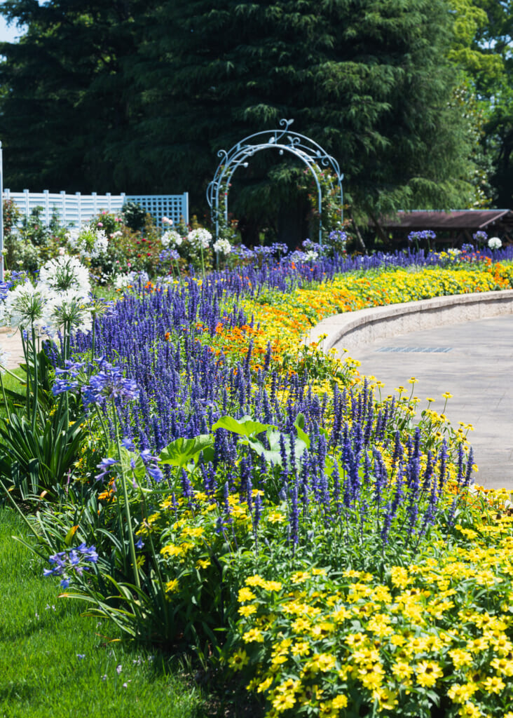 Le parc floral de Hamamatsu et ses 3000 espèces de plantes