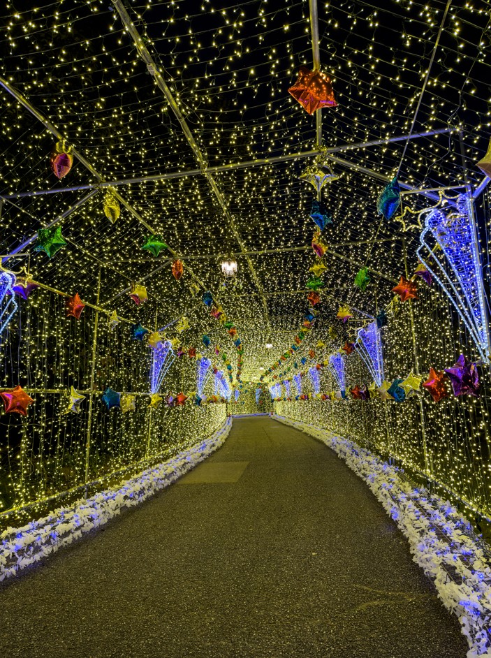 Illuminations au parc fruitier de Hamamatsu Tokinosumika