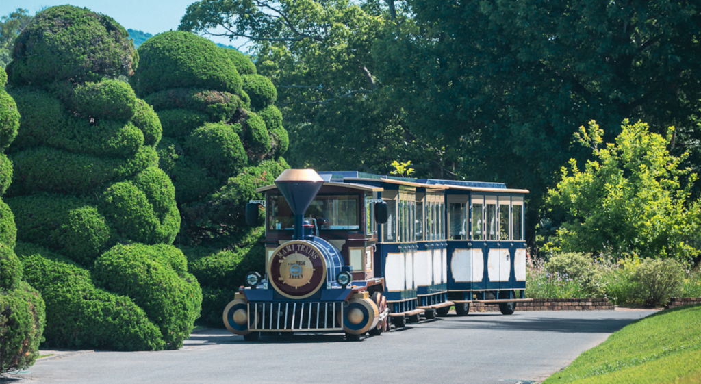 Le petit train bleu de Hamamatsu