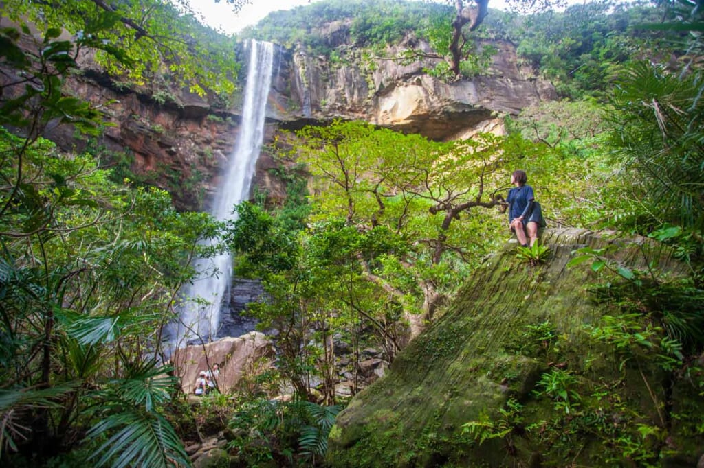 la cascade de Pinasaira d'Iriomote