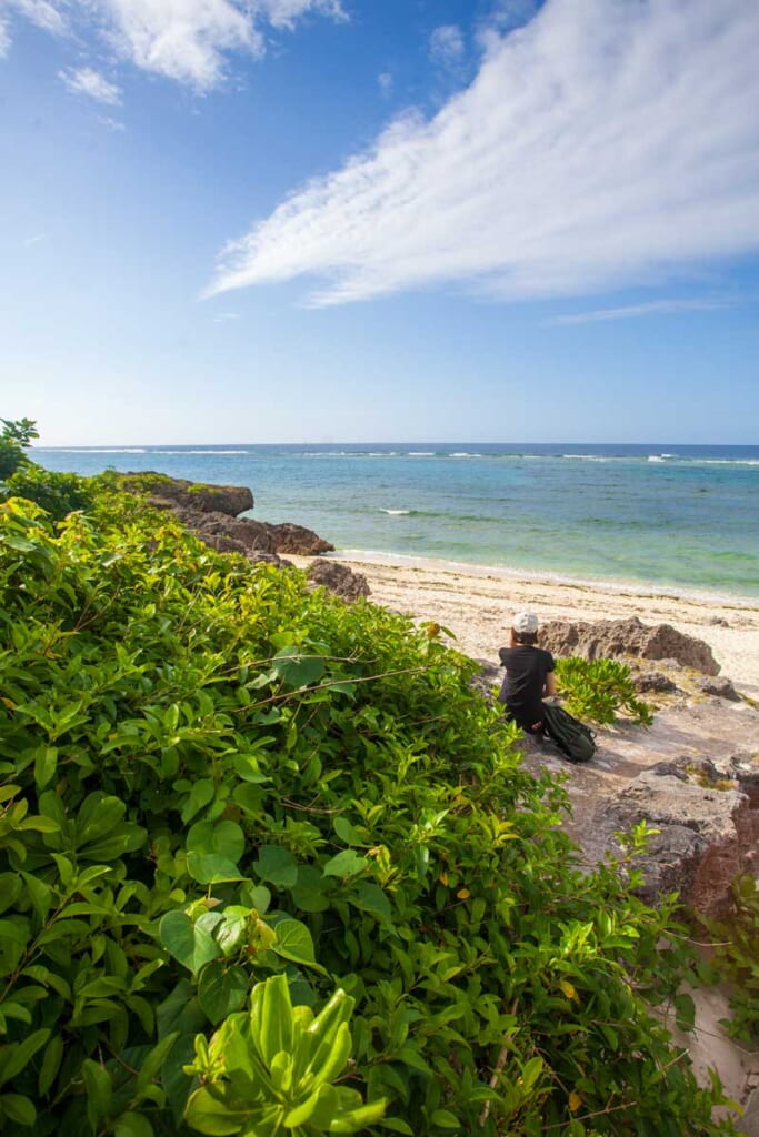plage et océan de Kuroshima