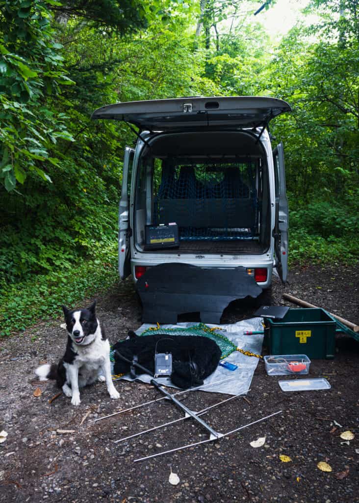 Un chien près d'un van dont le coffre est ouvert