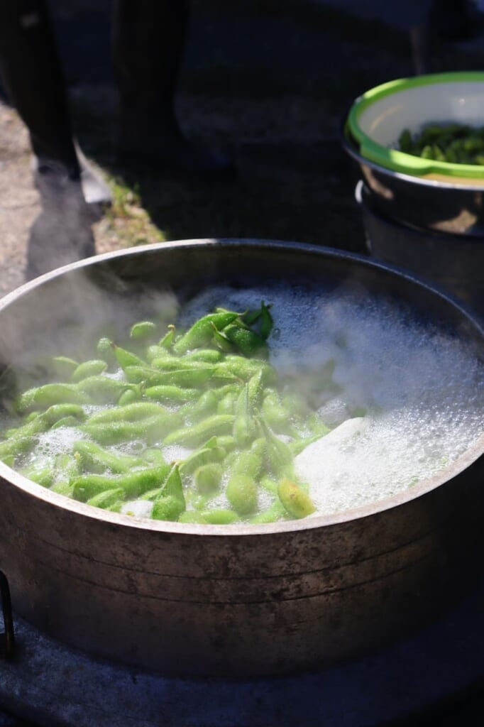 fèves de soja en train de bouillir