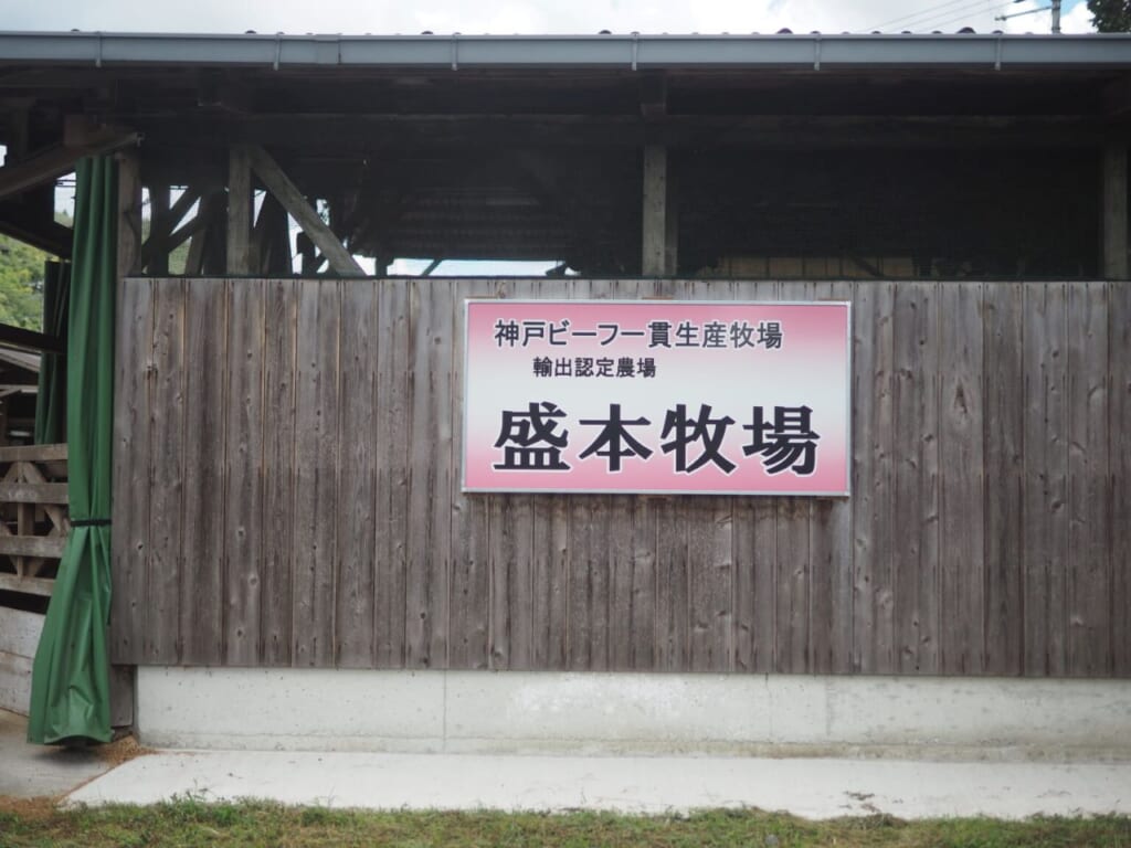 élevage bœuf de Kobe