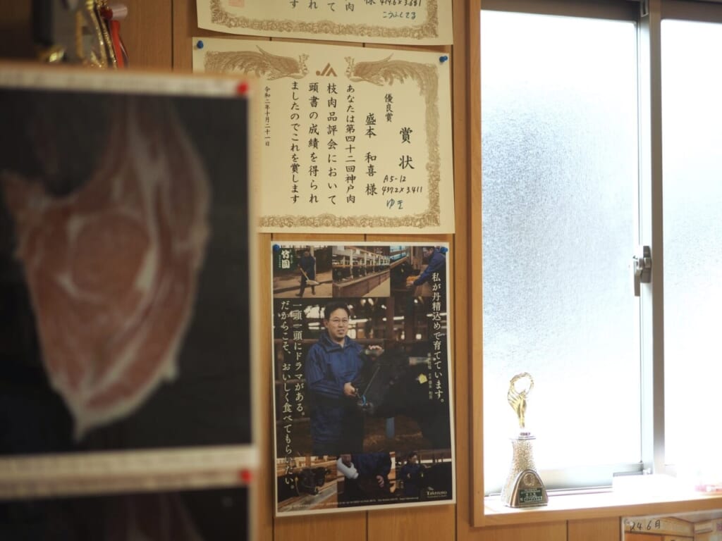 Morimoto-san et diplômes