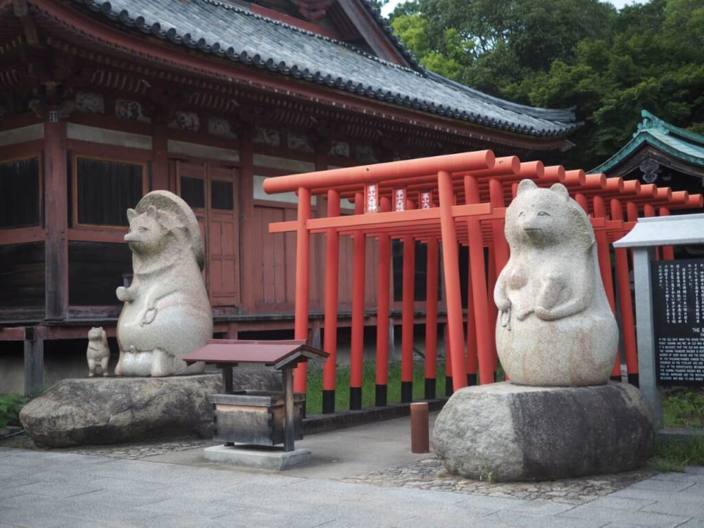 torii et tanukis