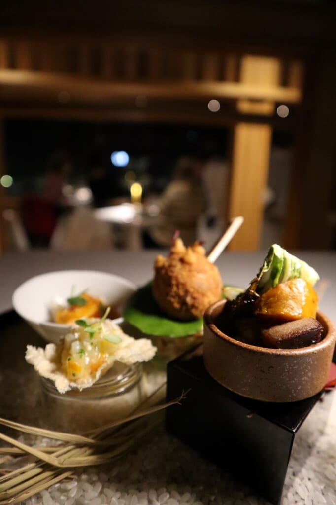 cuisine japonaise végétalienne