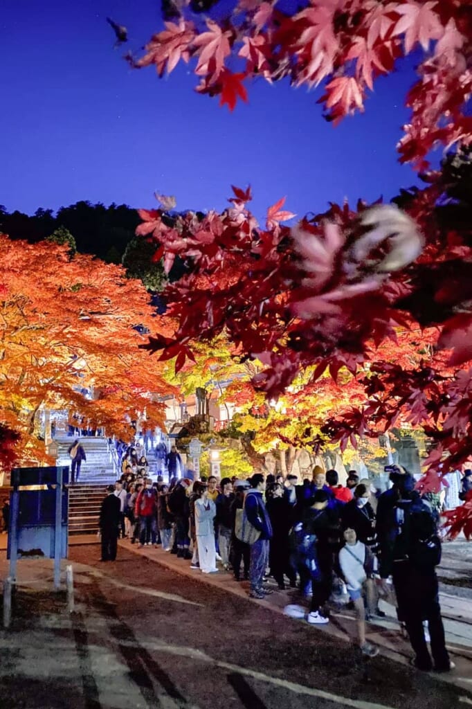 illuminations au sanctuaire shintoïste Oyama Afuri