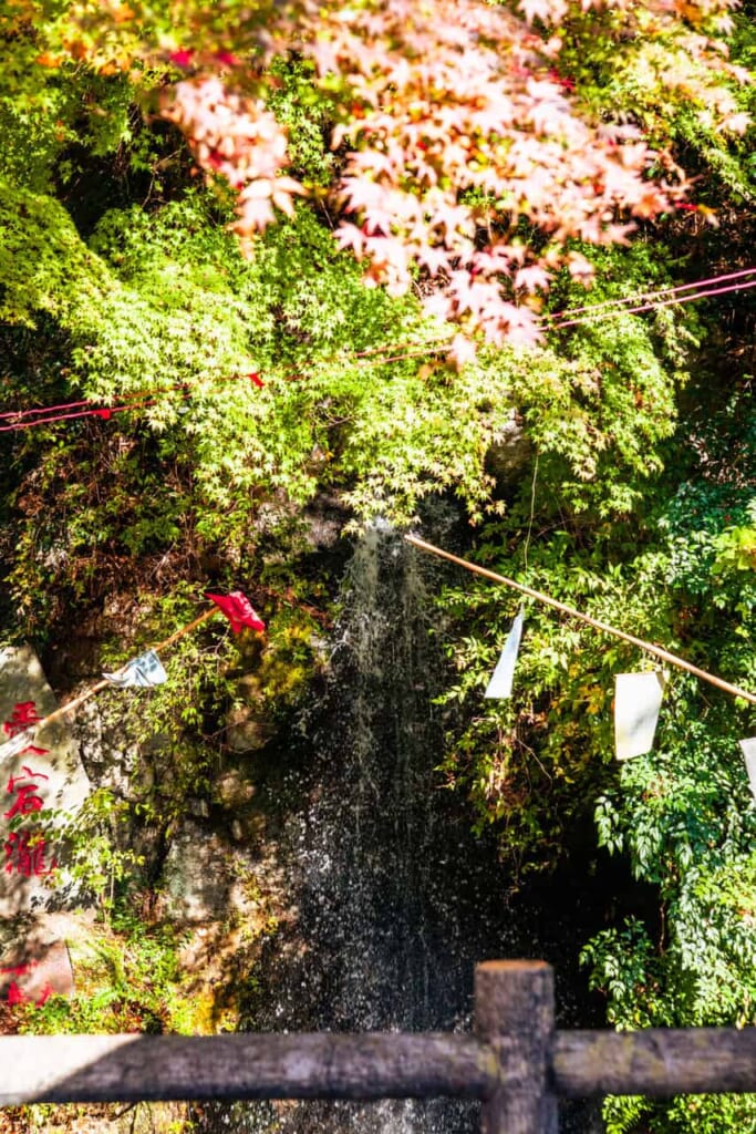 cascade automnale a Isehara