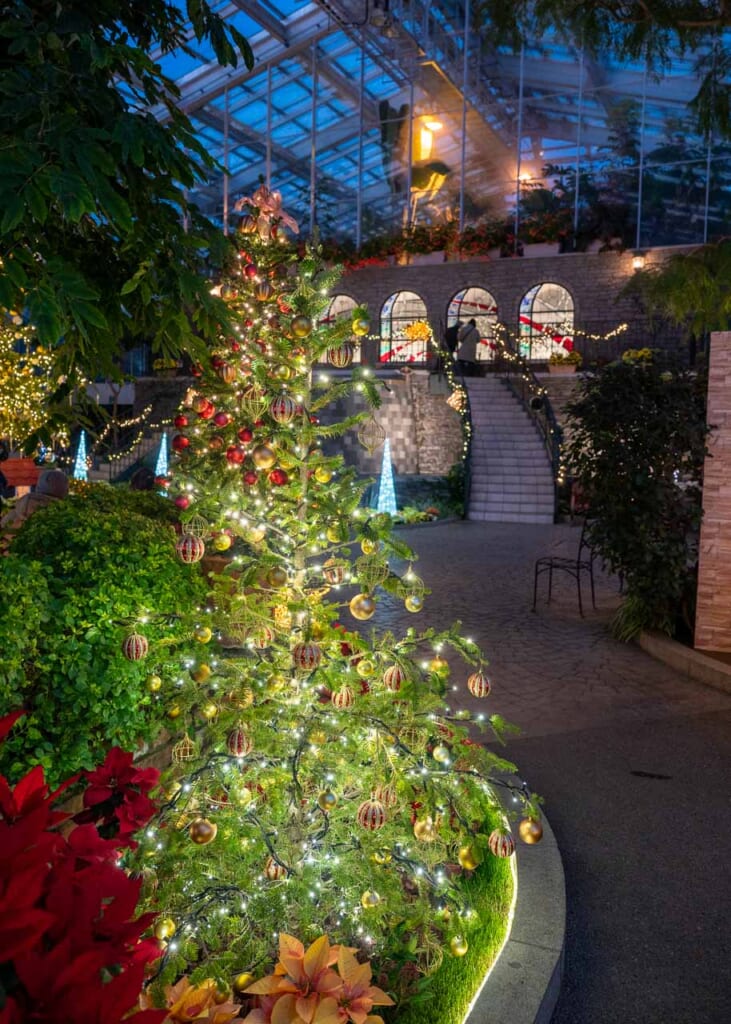 Illumination de Noël au parc floral de Hamamatsu au Japon