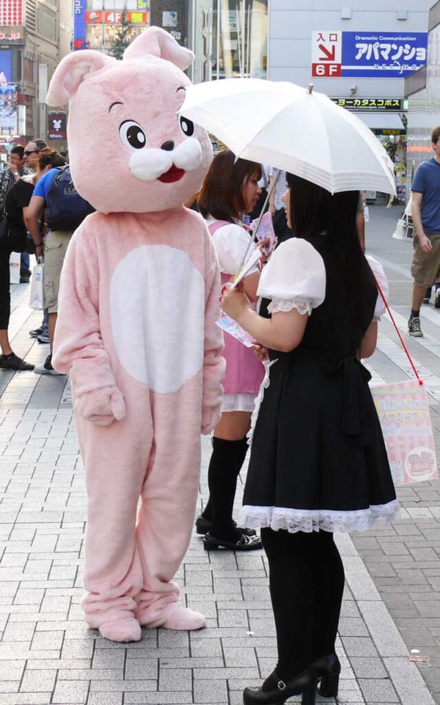 Promotion d'un "maids" café