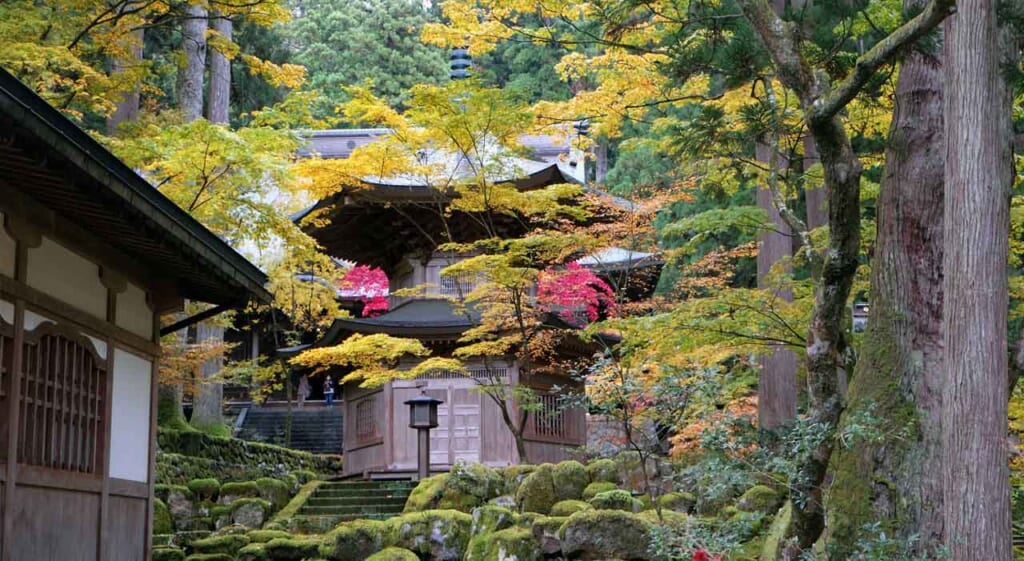 Les couleurs de l'automne au Japon