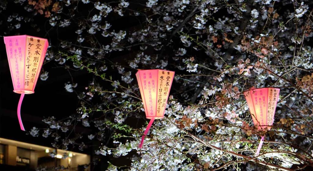 Nakameguro au printemps