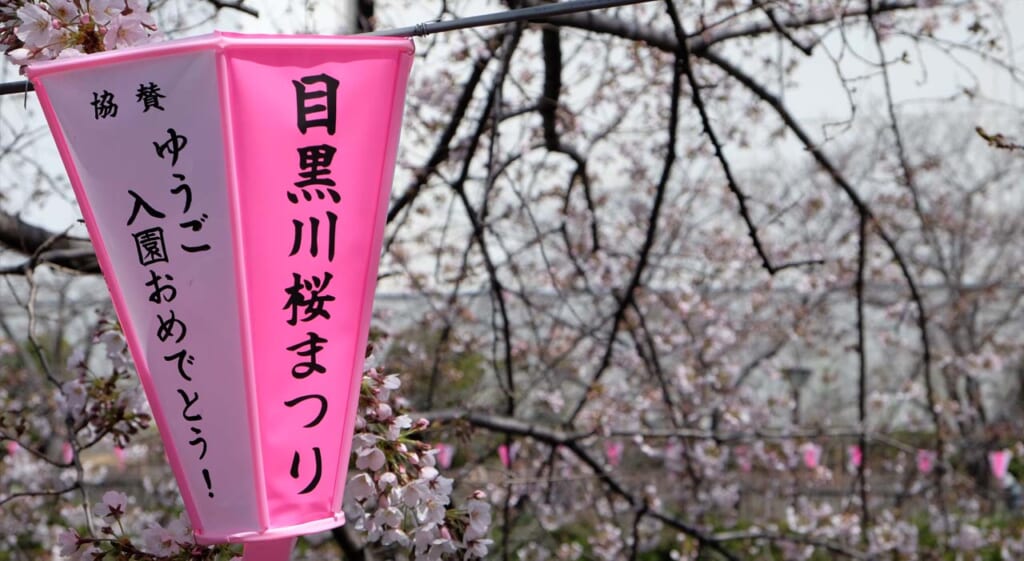 La rivière Meguro au printemps