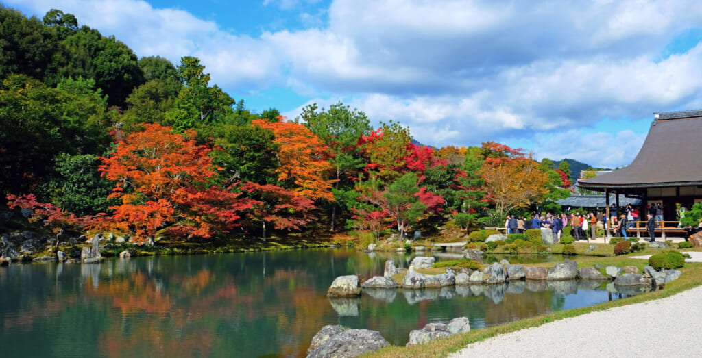 Les saisons au Japon