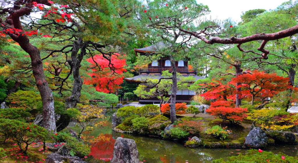 Kyoto et les couleurs de l'automne