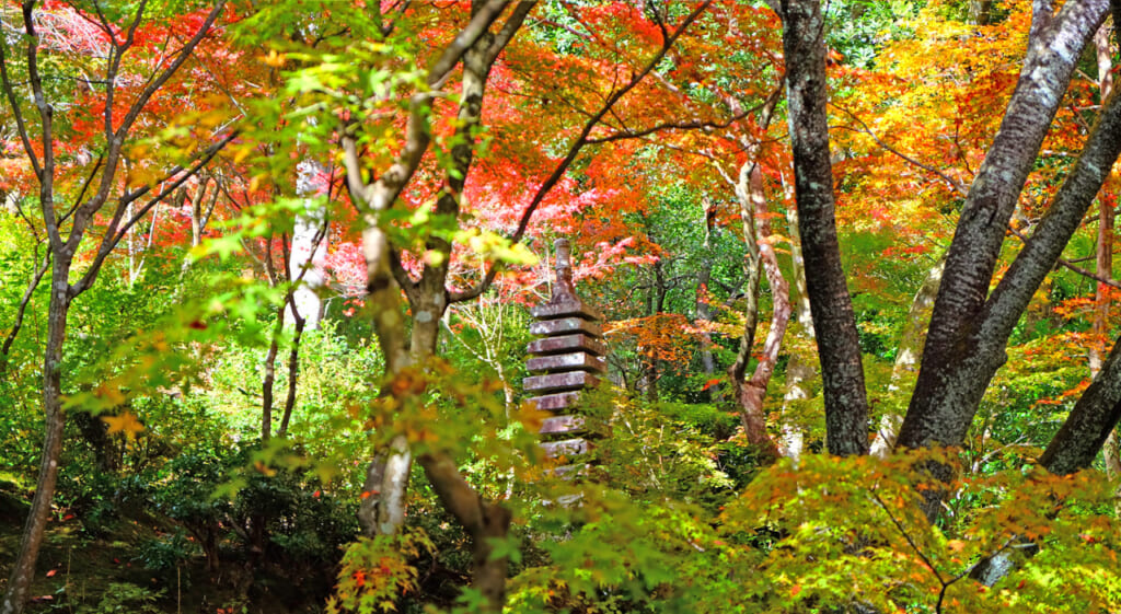 L'automne, l'une des meilleures saisons au Japon