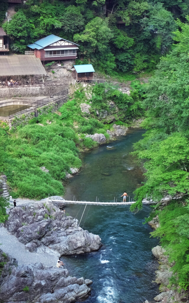 Randonnée estivale à Okutama