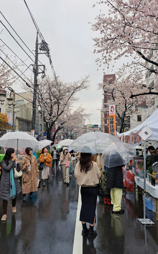Des hanami des fois pluvieux