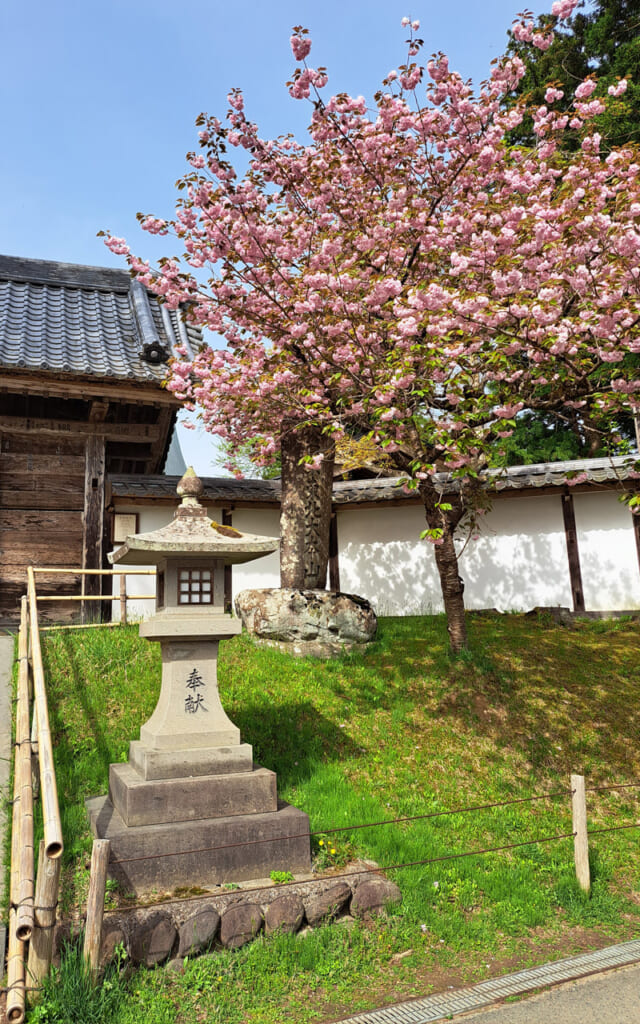 Le printemps, l'une des plus belles saisons au Japon