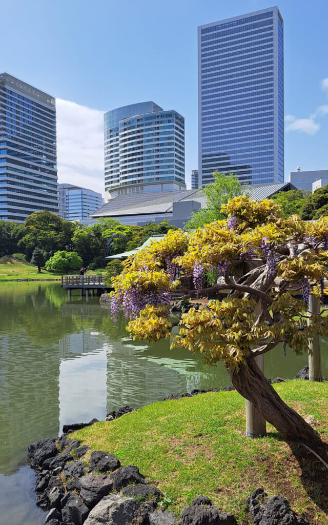 Mai ensoleillé à Tokyo