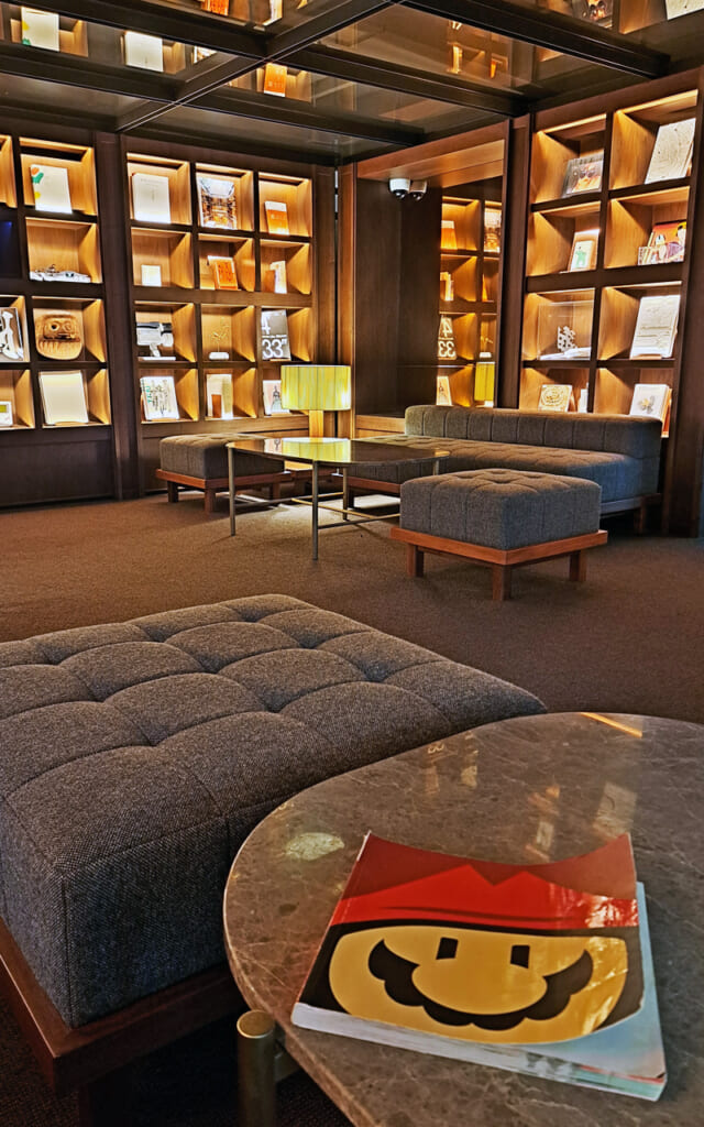 Lire un livre sur Mario à hôtel Marufukuro