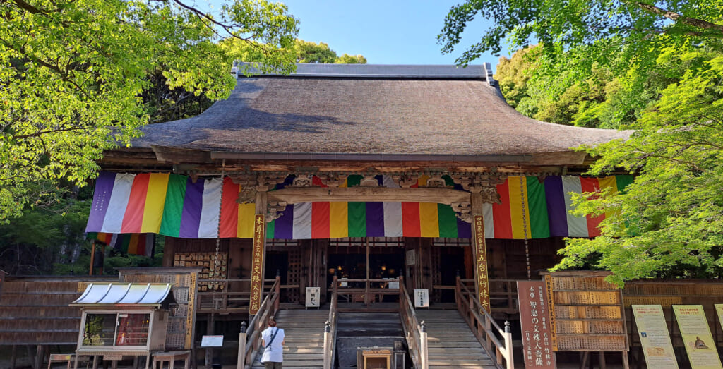 Ville de Kochi : itinéraire idéal pour un court séjour entre nature et culture