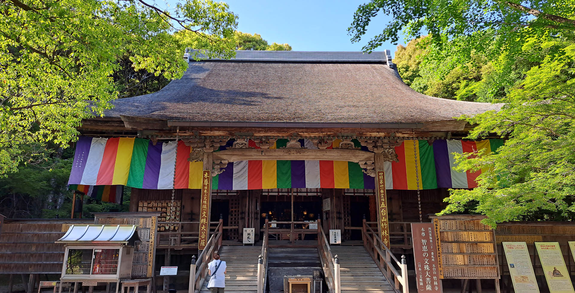 Ville de Kochi : itinéraire idéal pour un court séjour entre nature et culture