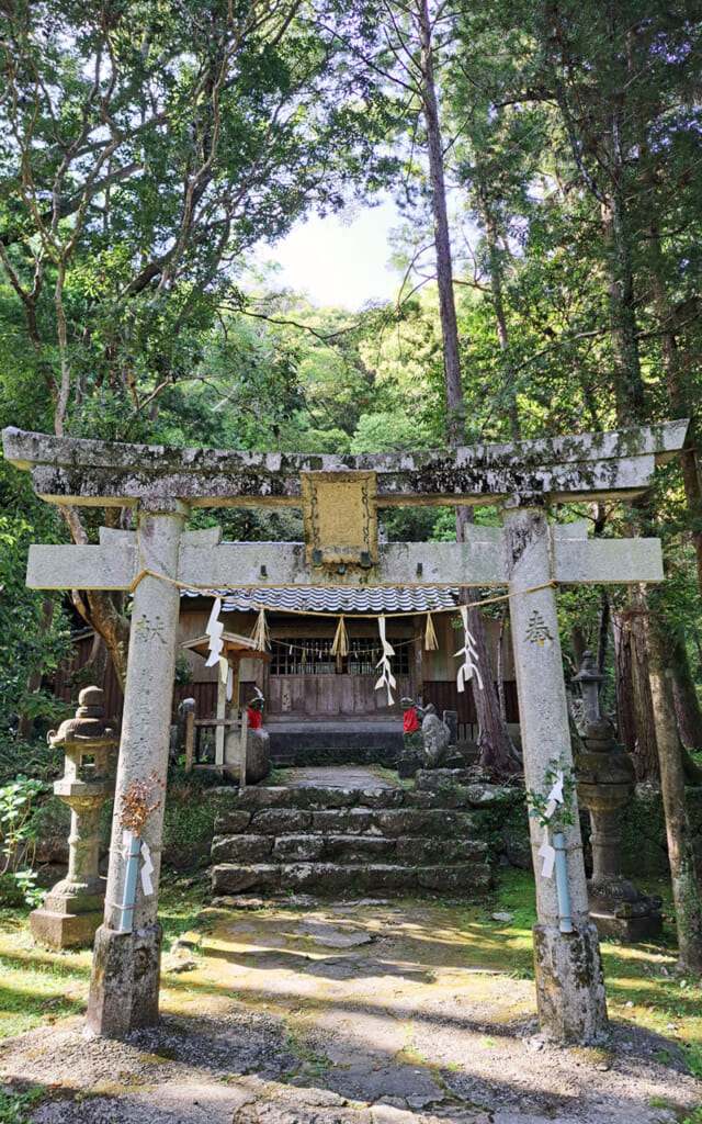 Temple Chikurin-ji à Kochi