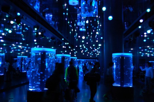 Epson Aqua Park Shinagawa, aventuras bajo el mar