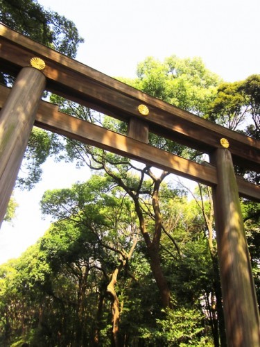 torii parque tokio