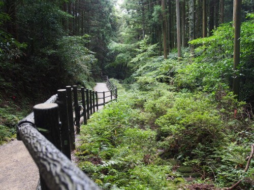 Kumano Magaibutsu, camino entre la vegetación de Kunisaki (Oita).