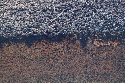 Techo de paja en una casa tradicional de madera en el jardín Kunenan Kanzaki (Japón)