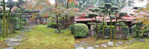 Suelo de musgo en el jardín Kunenan Kanzaki (Japón)