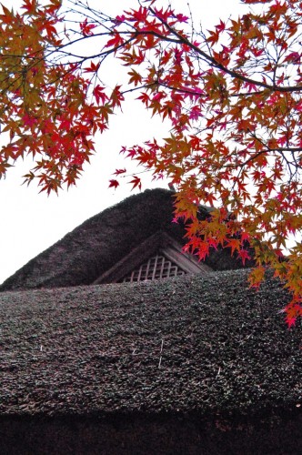 Techo de una casa tradicional y hojas otoñales en el jardín Kunenan Kanzaki (Japón)