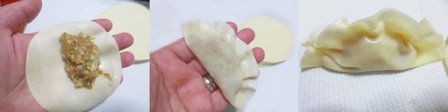 Doblando gyozas halal japonesas