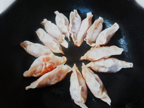 Friendo gyozas halal japonesas