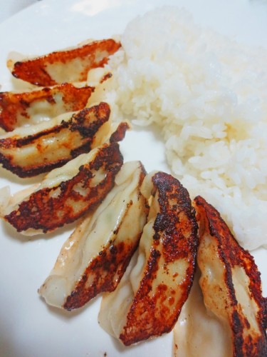 Gyozas caseras, halal y vegetarianas