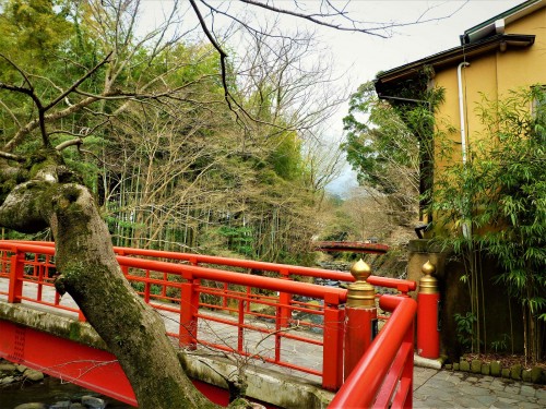 Puente y bosque en Shuzenji, Shizuoka.