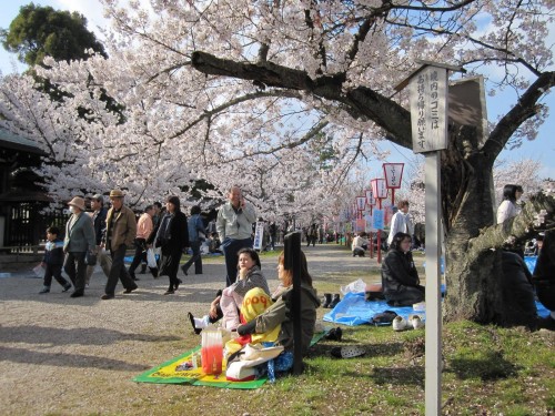 Hanami