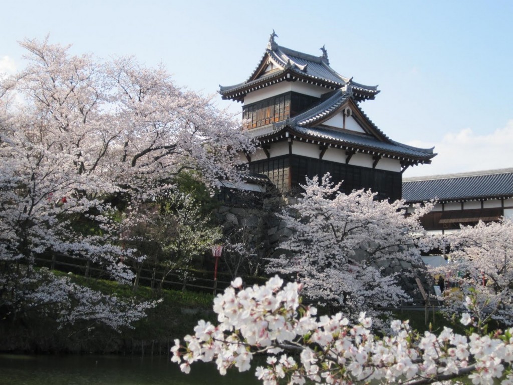 Sakura: ¿dónde ir si estoy en la región de Kansai?