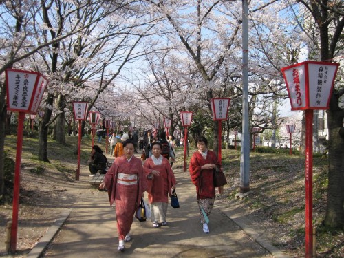 Hanami en Kansai