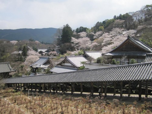 Templo Hasedera de Nara