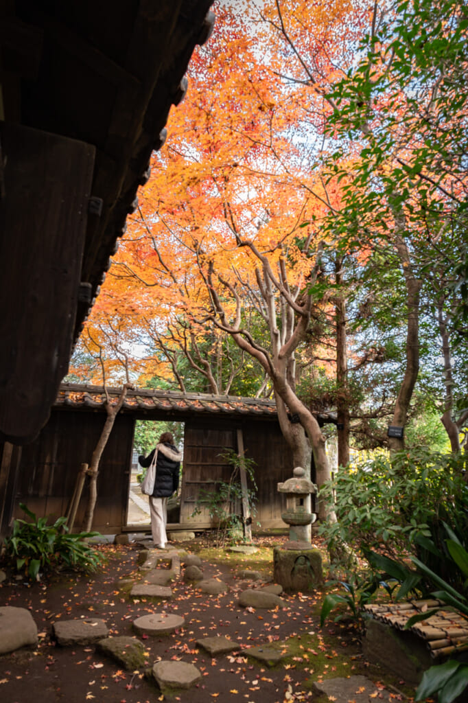 Una zona del museo con árboles otoñales momiji