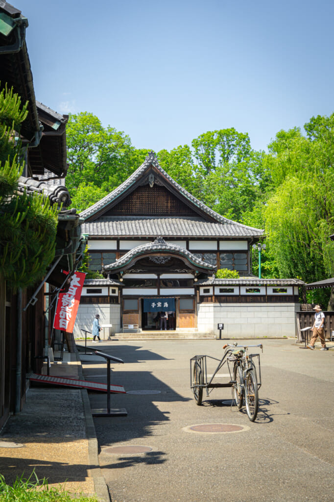 El museo durante la primavera