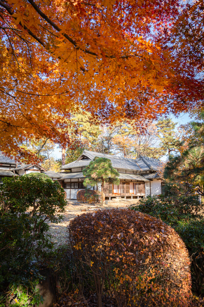 una casa japonesa rodeada de árboles de momiji