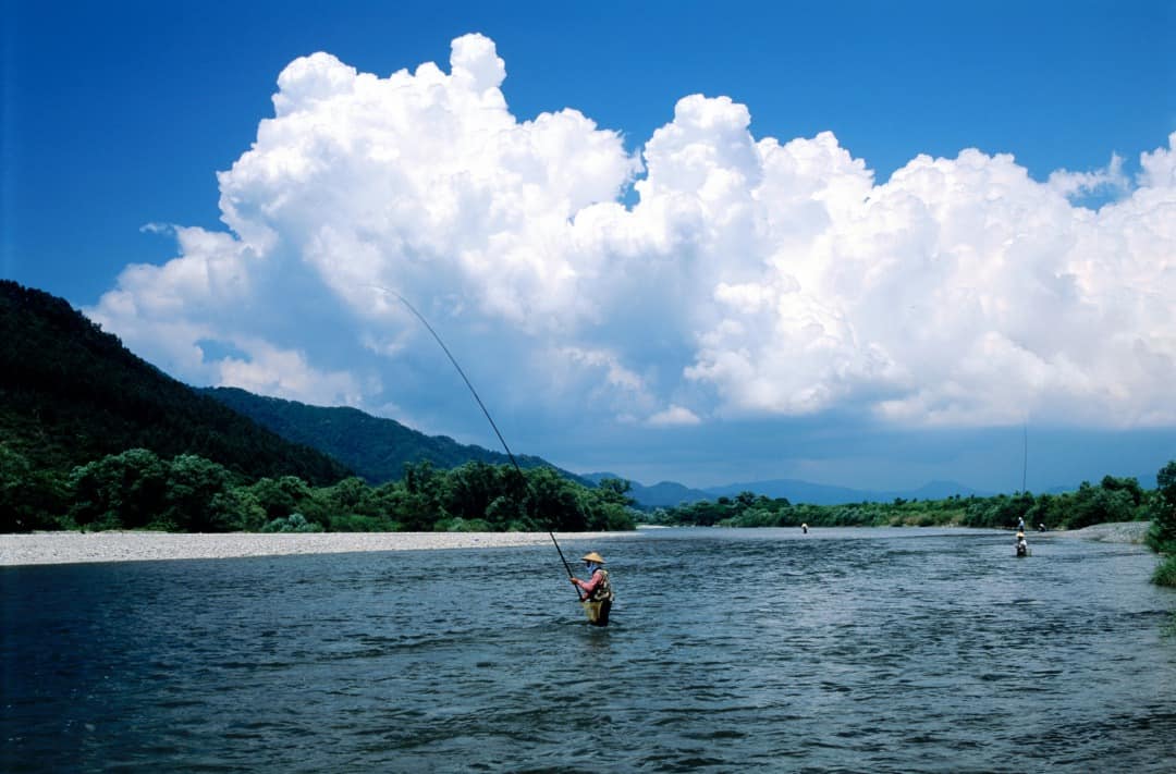 La ciudad del salmón: probamos la cocina de Murakami