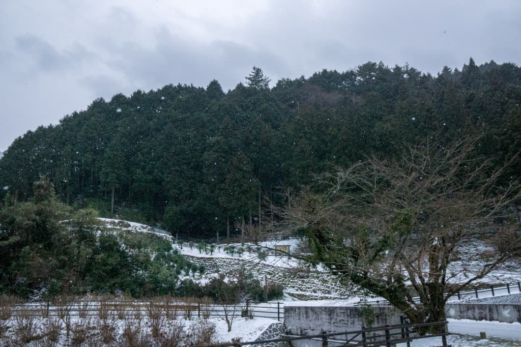 Cascada Shiraino de Toon, Ehime