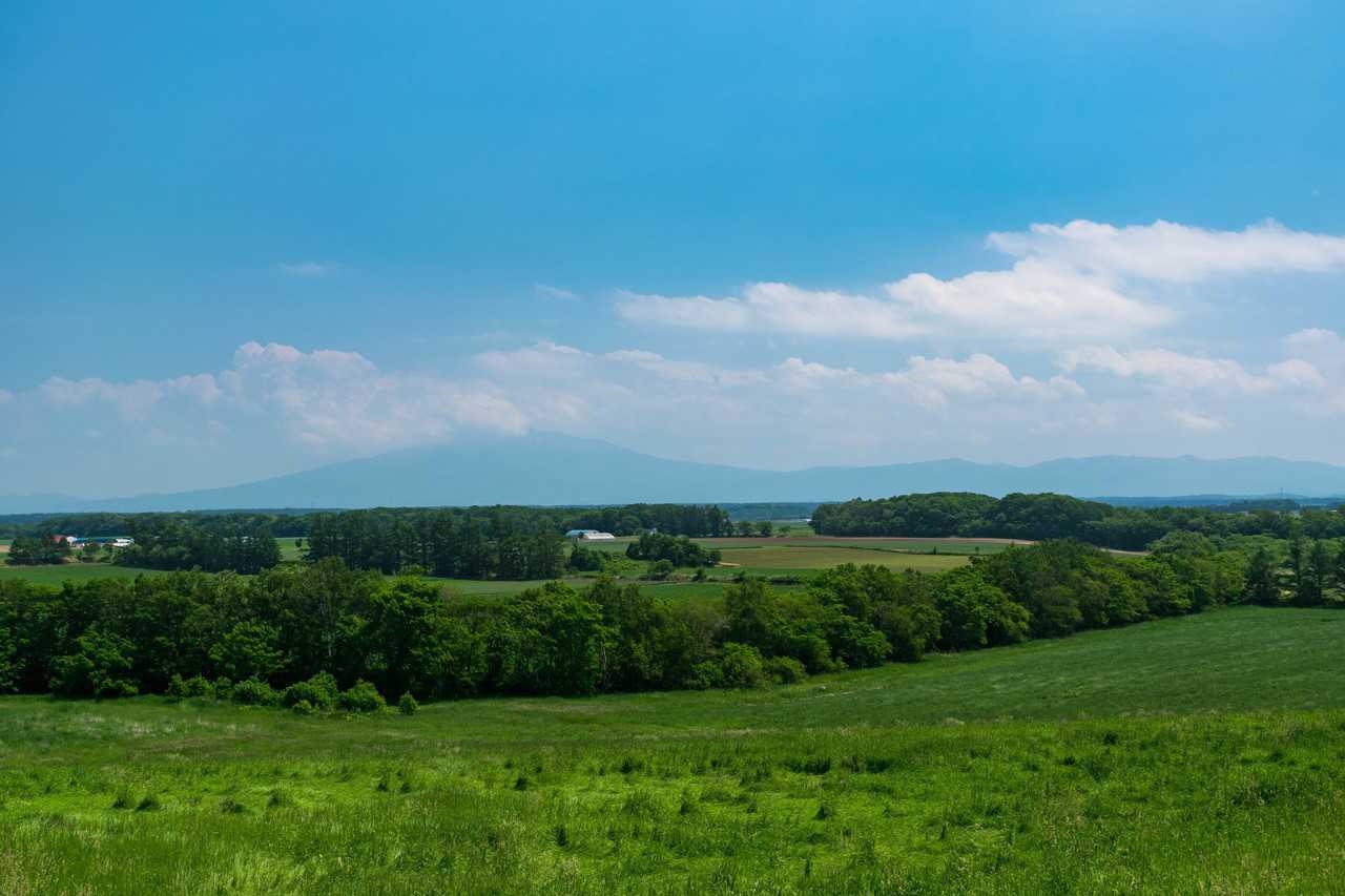 Campos de cultivo en Hokkaido