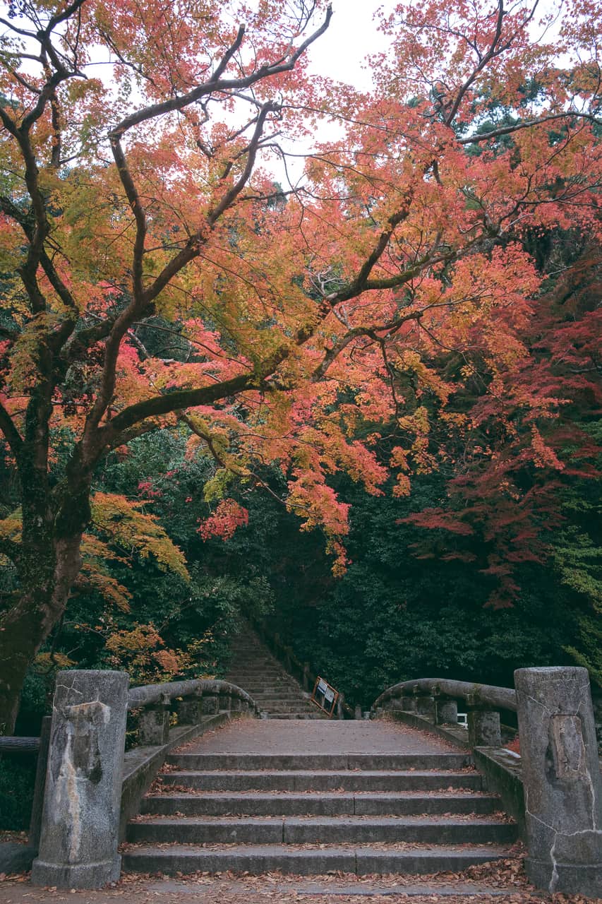 Los alrededores de la montaña cerca de Osaka son exuberantes en otoño